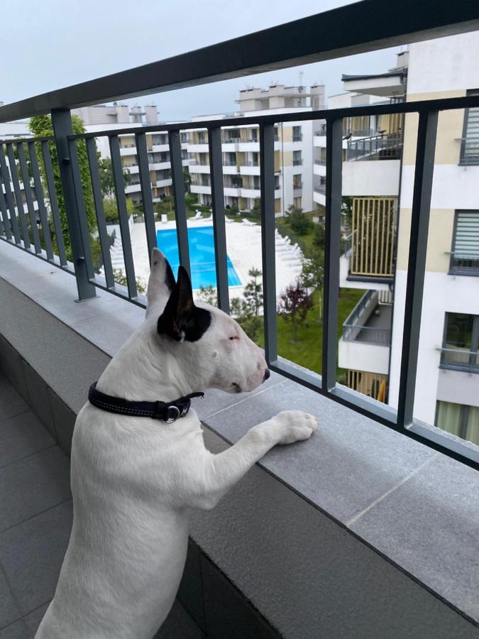 Celebryta - Apartament Apartman Ustronie Morskie Kültér fotó